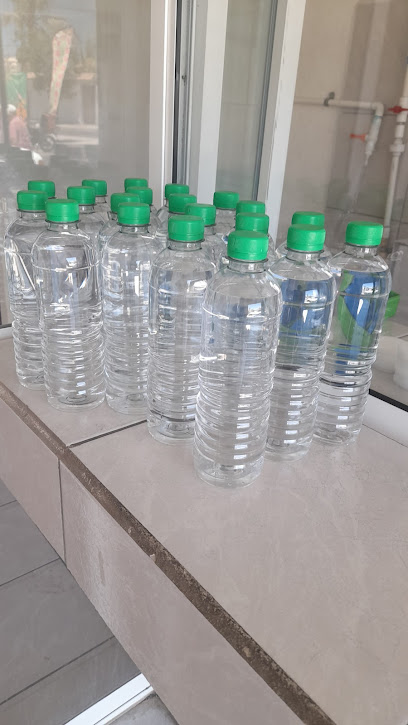 Agua-Hielo Palmita