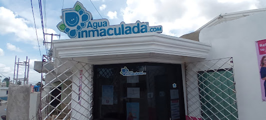 Agua Inmaculada. Suc Caimito