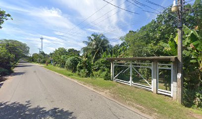 Agua Purificada