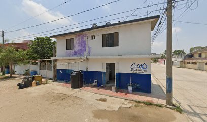 Agua Purificada Celis