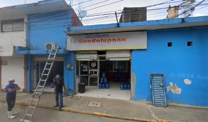 Agua Purificada La Guadalupana