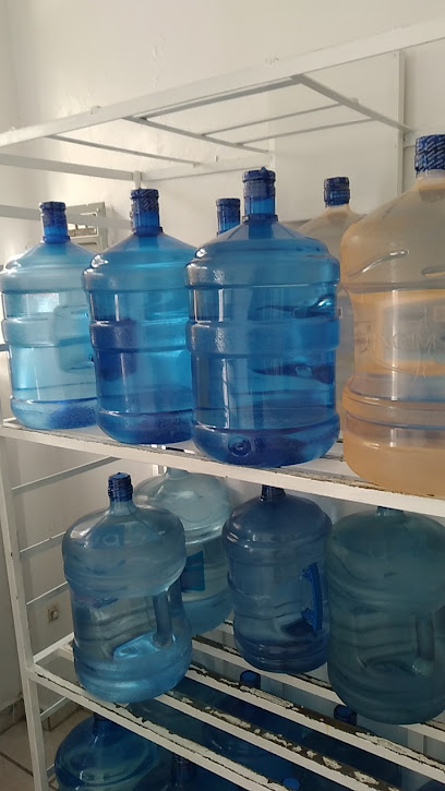 Agua Purificada Nauzet