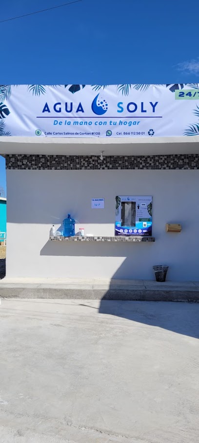 Agua Purificada Soly