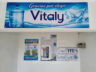 Negocio Agua Purificada Vitaly