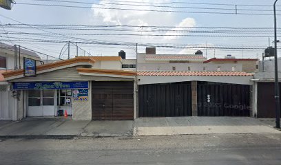 Agua Viva