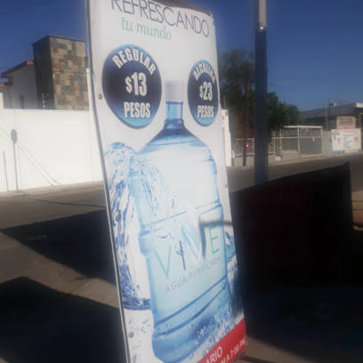 Agua Vive