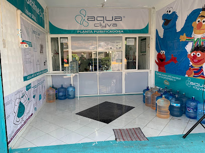 Aquaclyva Romero Rubio