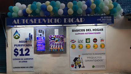 Autoservicio Dicap / Agua Purificada Y Básicos Del Hogar.