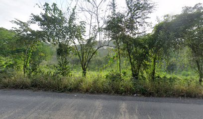 Bella Pura