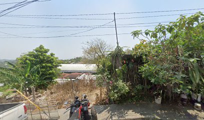 Hidrapura