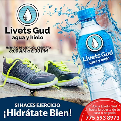 Livets Gud Agua Y Hielo & Kua