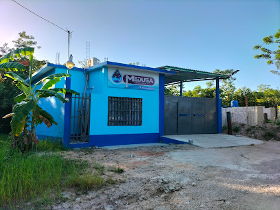 Medusa Purificadora De Agua