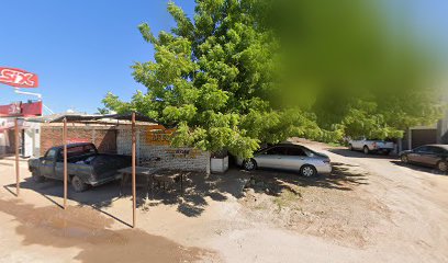 Planta De Agua Dos Gotas De Agua