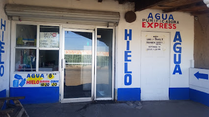 Planta De Agua Express