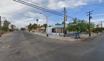 Planta De Agua Mar De Cortes