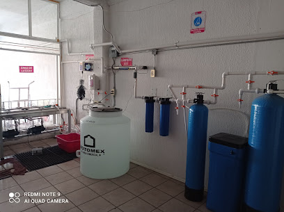 Planta De Agua Tony's