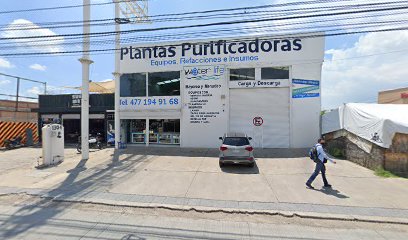 Plantas Purificadoras Water Life