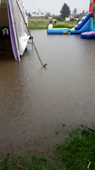 Puricadora De Agua