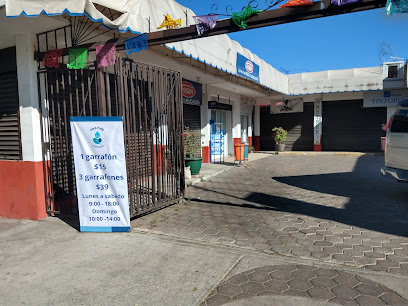 Negocio Purificadora Aqua Pure