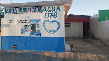 Purificadora Aqualife