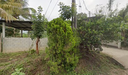 Purificadora
