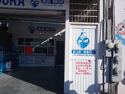 Purificadora Blue Water La Pureza Del Agua