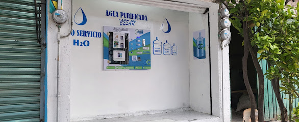 Purificadora César 