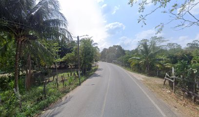 Purificadora De Agua