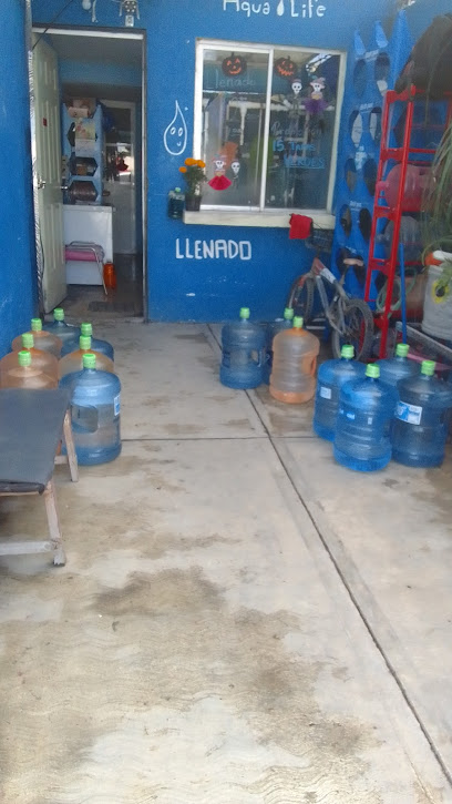 Purificadora De Agua
