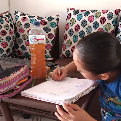 Purificadora De Agua Coyula