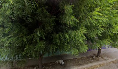 Purificadora De Agua El Trébol