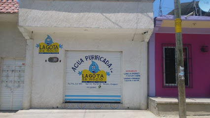 Purificadora De Agua 