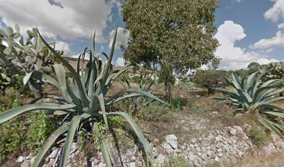 Purificadora De Agua Los Martínez