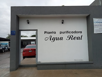 Purificadora De Agua Real