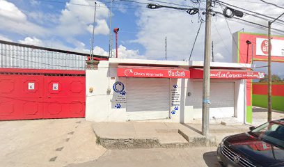 Purificadora De Agua San Pascual