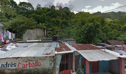 Purificadora El 43