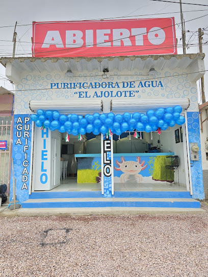 Purificadora El Ajolote