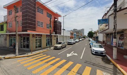 Purificadora Geizer
