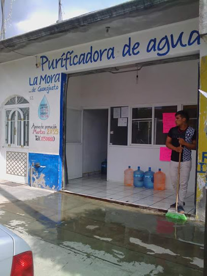 Purificadora Glu Glu