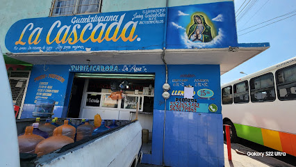 Purificadora La Cascada Guadalupana