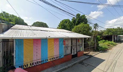 Purificadora
