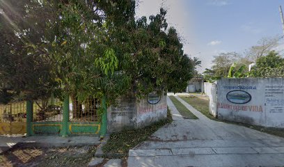 Purificadora Manantial De Vida