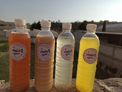 Purificadora Más Agua