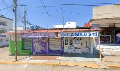 Purificadora Oasis Exprés