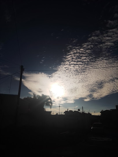 Purificadora Panorama