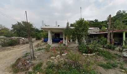 Purificadora Puritronic Tecomate