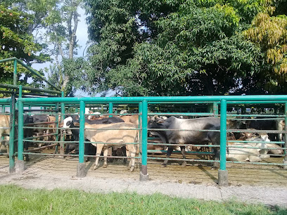Purificadora Santa Clara