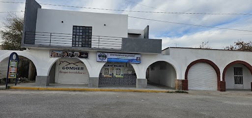 Purificadora The Water Depot Madero