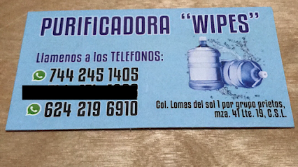 Purificadora Wipes