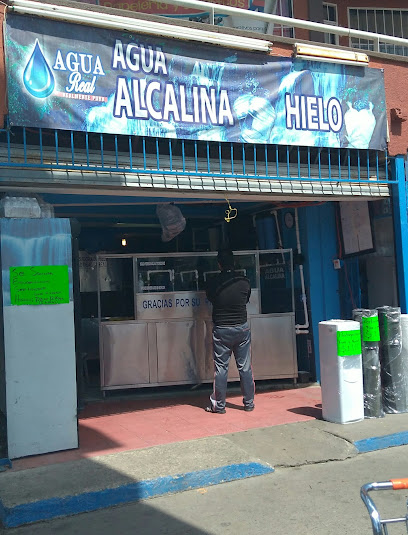 Purificadora Y Hielo Agua Real